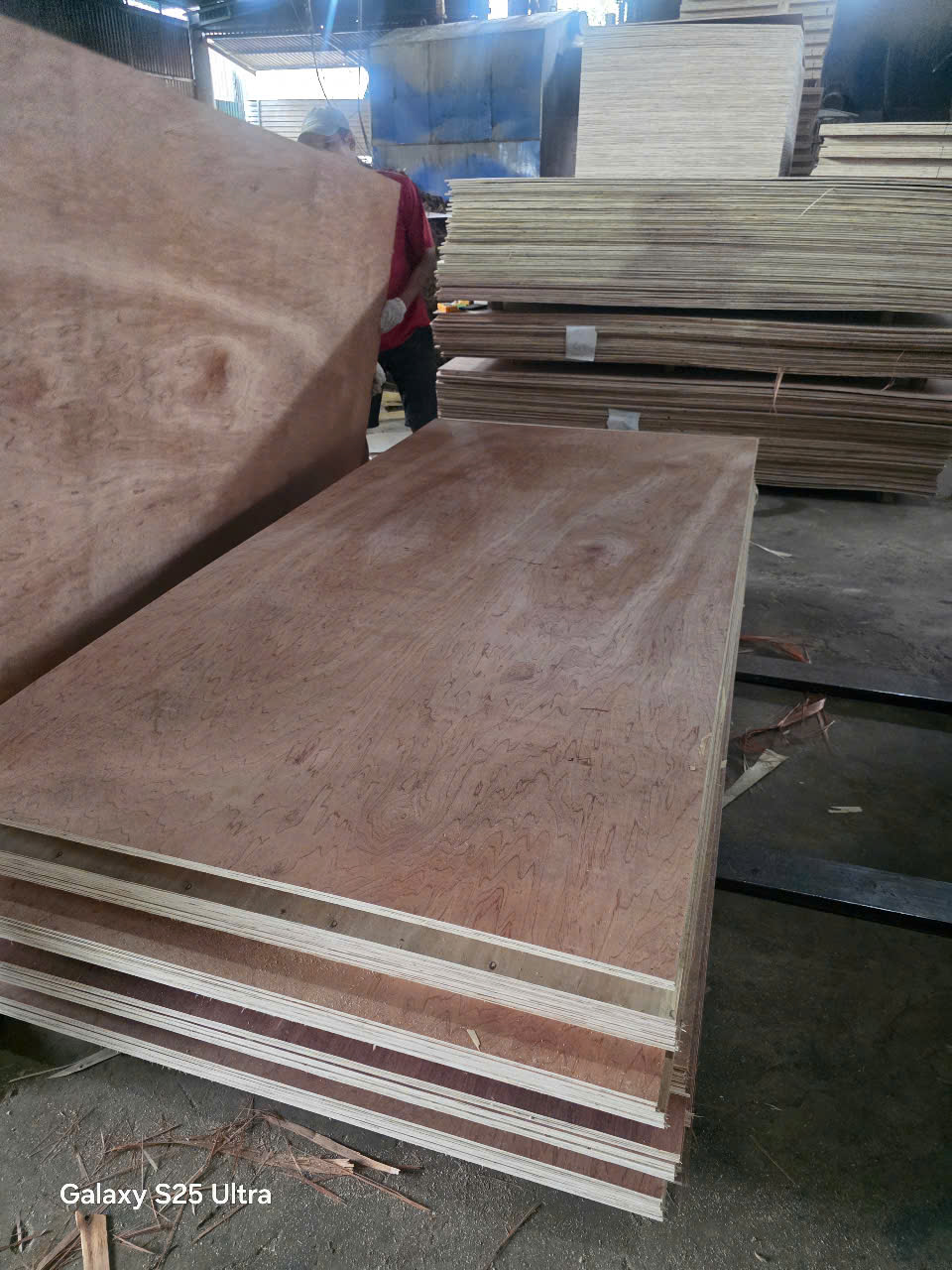 z6627899955565_71a0e2b247fdb1c9ce85ca3b54f3aaa8